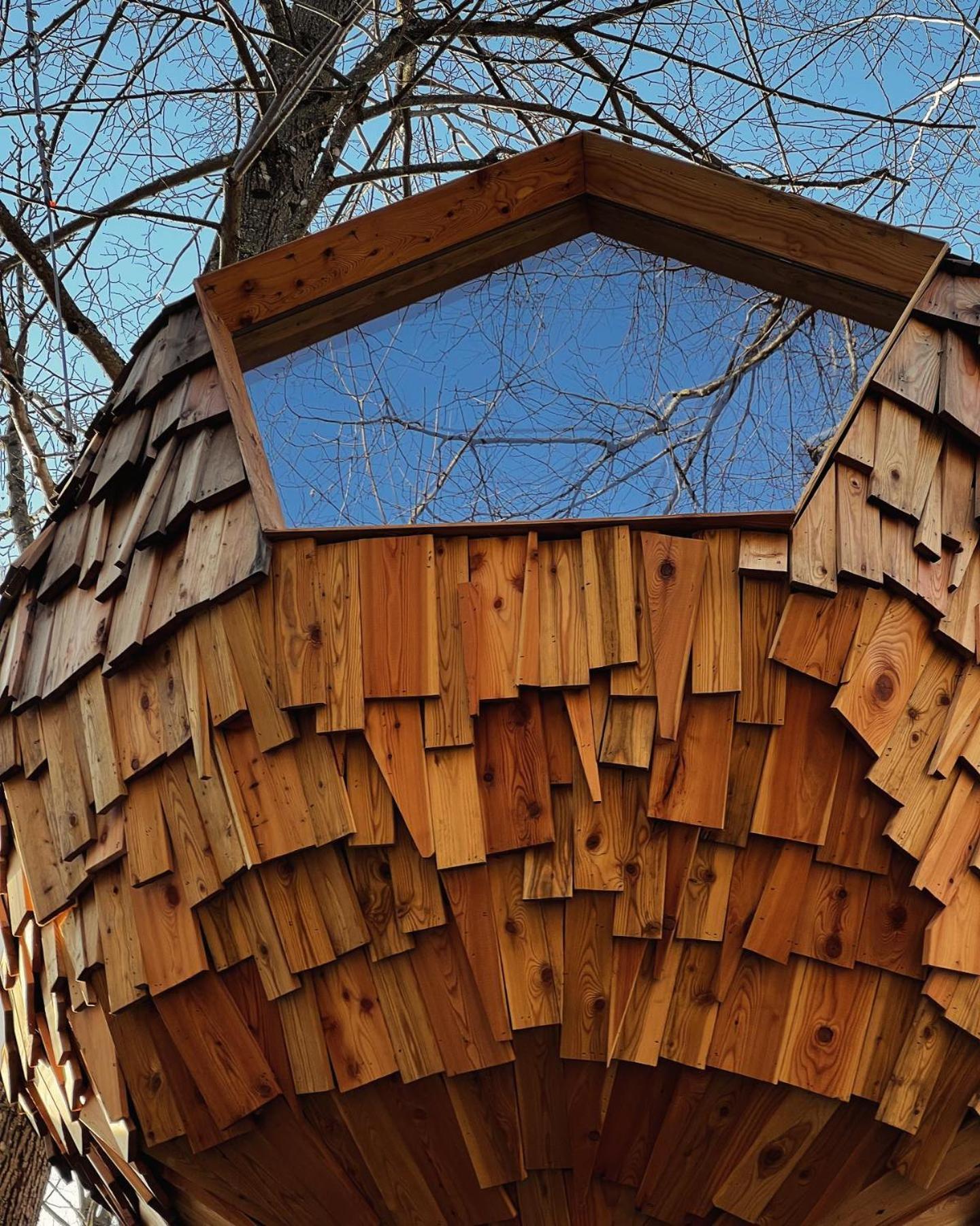 Luksuzni šotor T'glamp Bee House *